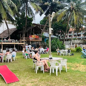 Honey , Negombo Sri Lanka